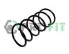 PROFIT 2010-0341 Coil Spring